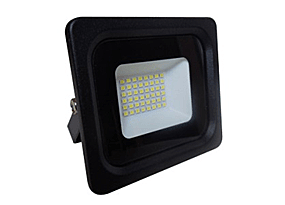 Прожектор ПРОГРЕСС 30W 6500К хол.свет ECO