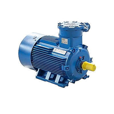 Электродвигатель  взрывозащищенный 22*1000 АИМУ 200М6 IM1001 1ExdIIBT4 Gb