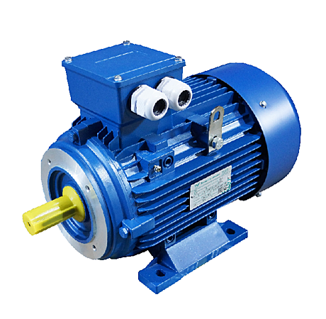 Электродвигатель 0,37*1500 5АИ63 B4 FT100  IM2181