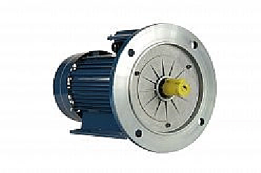 Электродвигатель 0,12*1500 5АИ 56 А4 IM2081