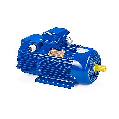 Электродвигатель крановый 5МТН 225-L6 55*1000 IM1003